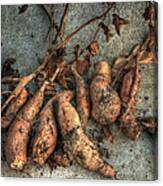 Sweet Potato Pie Canvas Print