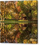 Sycamore Reflections Canvas Print