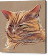 Tabby Cat Portrait In Pastels Canvas Print
