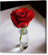 Table Rose Canvas Print