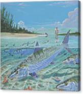 Tailing Bonefish In003 Canvas Print
