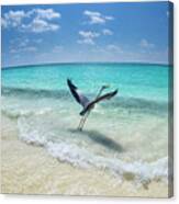 Take-off Canvas Print