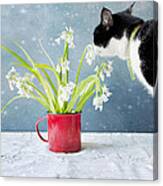 Taking Time To Smell The Flowers Canvas Print