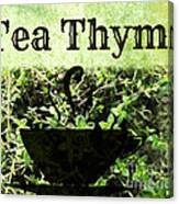 Tea Thyme Canvas Print