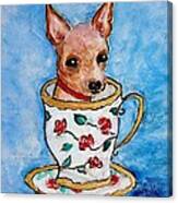 Teacup Chihuahua Canvas Print