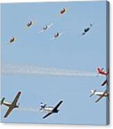 Ten Warbird Flyby Canvas Print