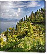 Terraced Hillside Of Portofino Canvas Print