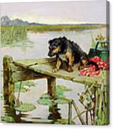 Terrier - Fishing Canvas Print