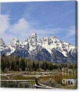 Teton Majesty Canvas Print