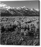 Tetons In Black And White Canvas Print