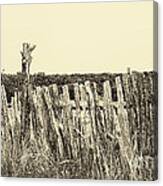Texas Fence In Sepia Canvas Print