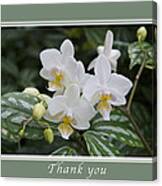 Thank You White Orchids Canvas Print