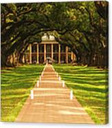 The Alley Of Oaks Canvas Print
