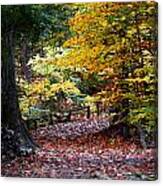 The Autumn Path Canvas Print