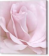 The Ballerina Pink Rose Flower Canvas Print
