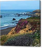 The Beauty Of The Central Coast Canvas Print