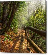 The Benton Trail Canvas Print