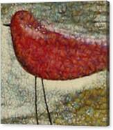 The Bird Sp0901 Canvas Print