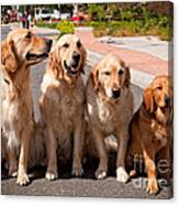 The Blond Team Canvas Print