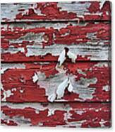 The Broad Side Of A Barn Canvas Print