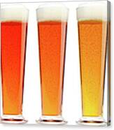 The Color Of Beer Two Canvas Print