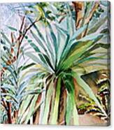 The Desert Cactus Canvas Print