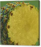 The Digitally Painted Cut Open Pineapple Canvas Print