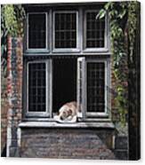 The Dog Of Bruges Canvas Print