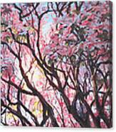 The Dogwood Tree Canvas Print