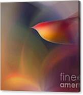 The Early Bird-abstract Art Canvas Print