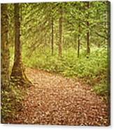 The Enchanted Forest Canvas Print