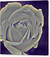 The Ethereal Rose Canvas Print