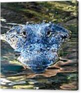 The Eyes Of The Alligator Canvas Print