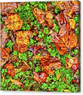The Fall Of Summer I Canvas Print