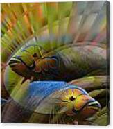 The Fishes Canvas Print