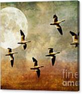 The Flight Of The Snow Geese Canvas Print