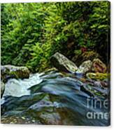 The Flow Keeps On Canvas Print
