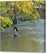 The Fly Fisherman Canvas Print