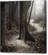 The Foggy Path Canvas Print