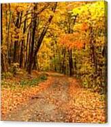 The Forest Road Canvas Print