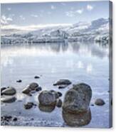 The Frozen World Canvas Print