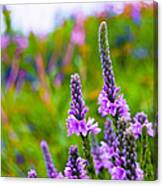 The Garden Palette Canvas Print