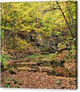The Glen In Autumn Canvas Print