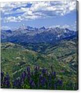 The Grand And Lupines Canvas Print