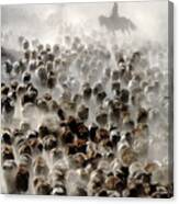 The Great Migration Of China Canvas Print