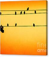 The Hang Out #2 Canvas Print