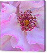 The Heart Of A Rose Canvas Print