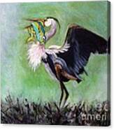 The Heron And The Fish Canvas Print
