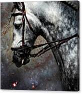 The Horse Among The Stars Canvas Print