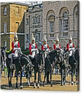 The Horse Guard Canvas Print